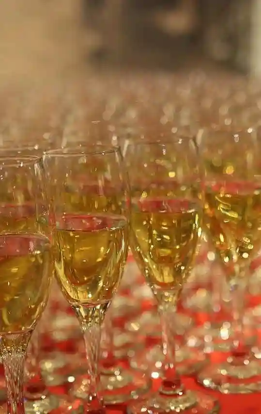 Bílé víno rozlité ve sklenicích nachystané na přípitek Pro 100 lidí